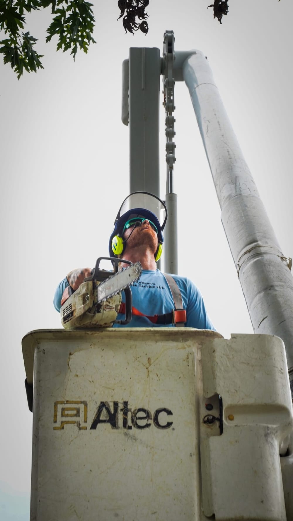 Kohnen's Tree Service crew at work