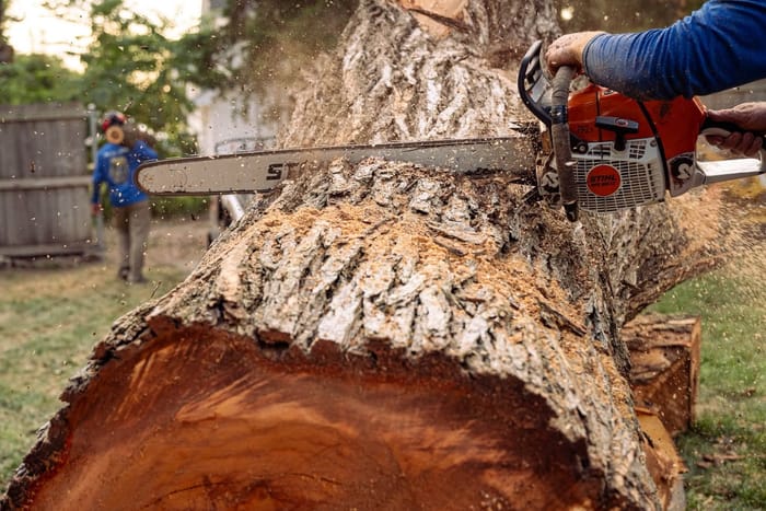 Kohnen's crew member sectioning a felled trunk with a chainsaw during a Wichita tree removal