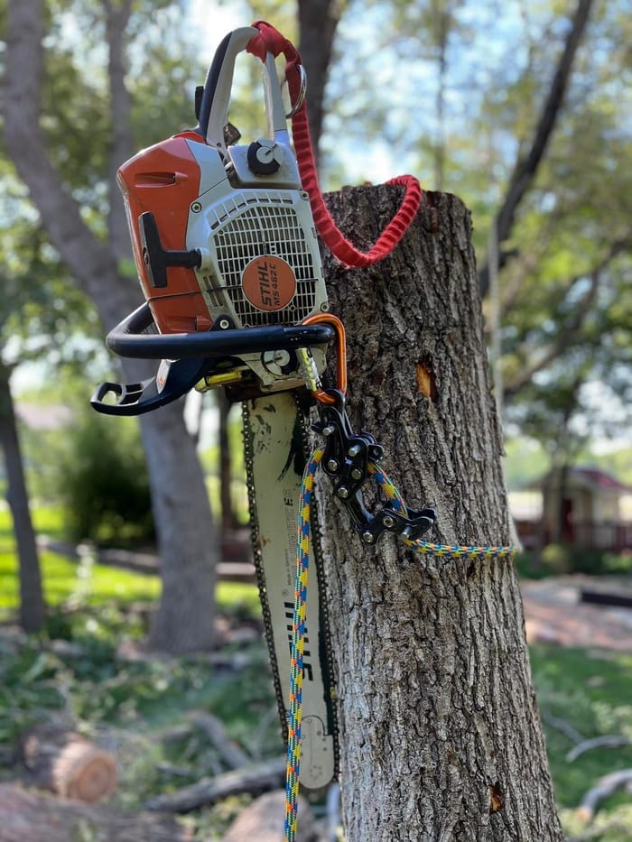 Chainsaw resting on a freshly cut stump after a removal