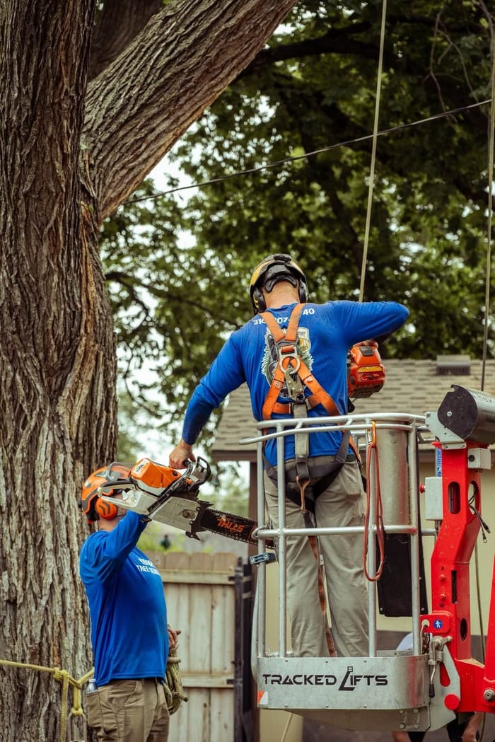 Kohnen's crew handing a chainsaw up to the tracked-lift bucket on a residential job