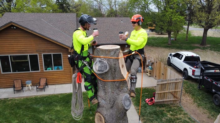 Emergency tree services and storm damage in Wichita