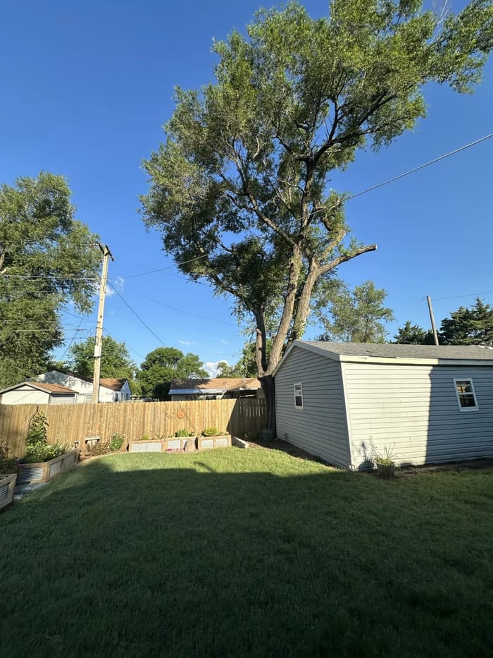 Emergency removal of a storm-damaged tree