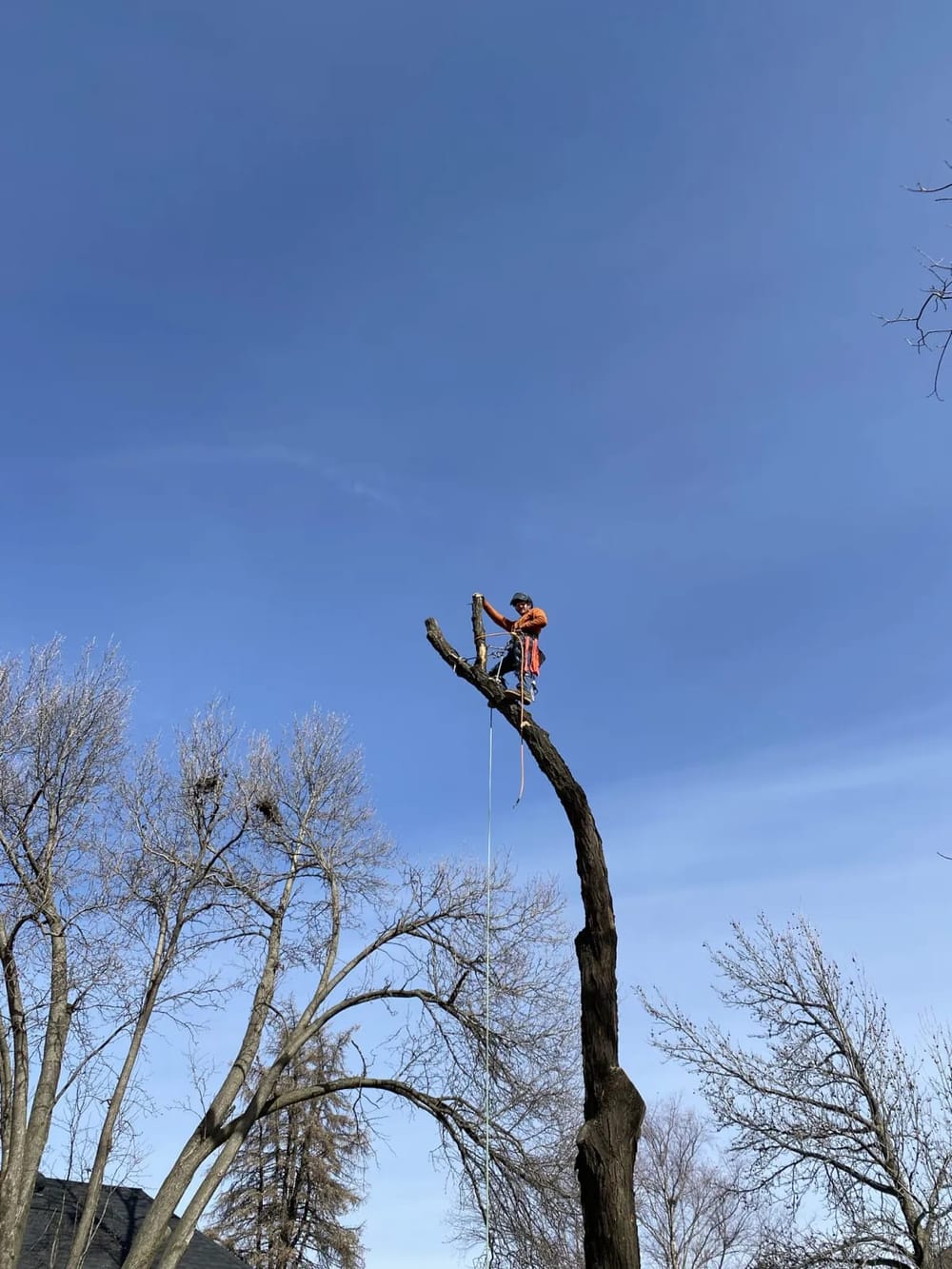 Kohnen's Tree Service grapple truck clearing fallen tree debris from a storm-damaged Wichita property