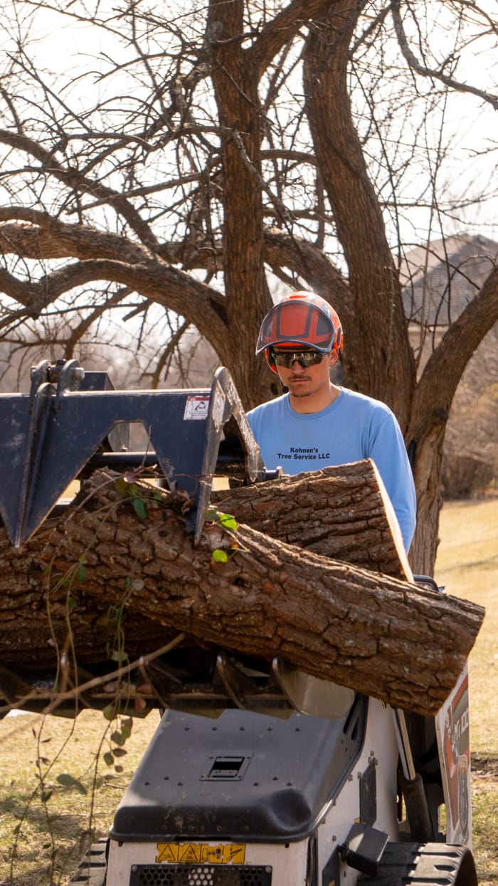 Stump grinding in progress as a Kohnen's Tree Service machine grinds down an old tree stump