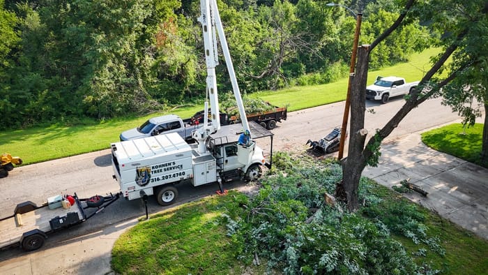 Tree pruning and trimming services in Wichita