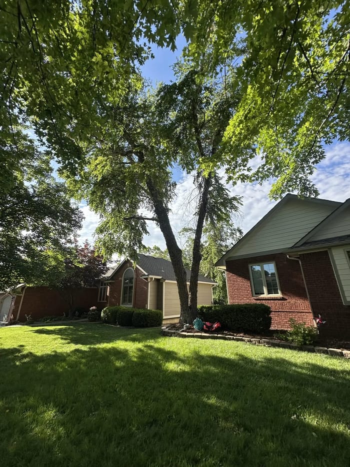 Tree crew at work on a full-service job in Wichita