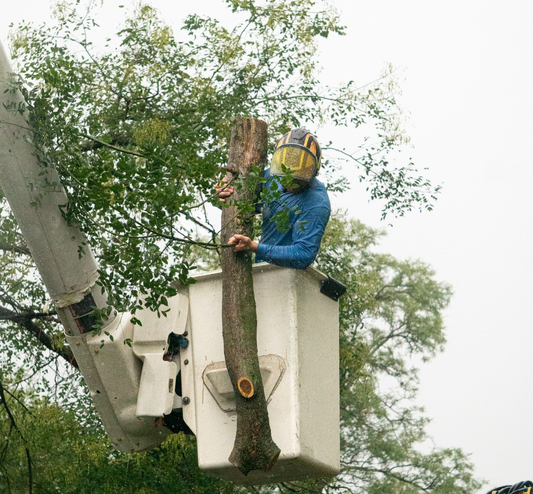 Emergency tree services and storm damage response in Wichita, KS