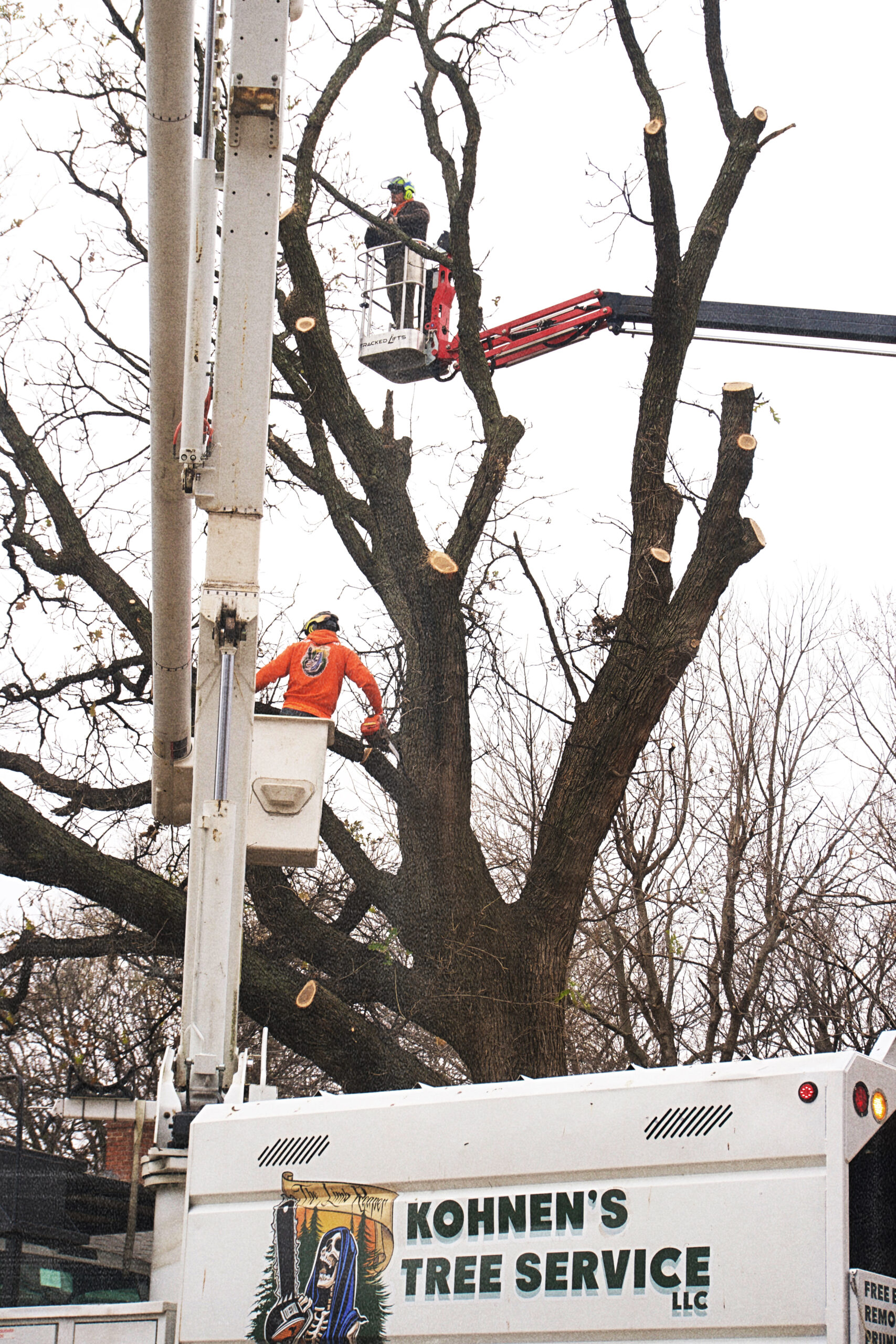 Kohnen's crew operating two bucket trucks to dismantle a massive tree in Wichita