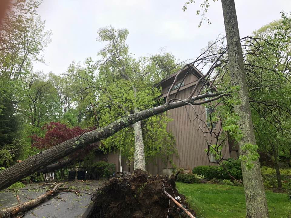Storm damage cleanup by Kohnen's Tree Service for Wichita homeowners